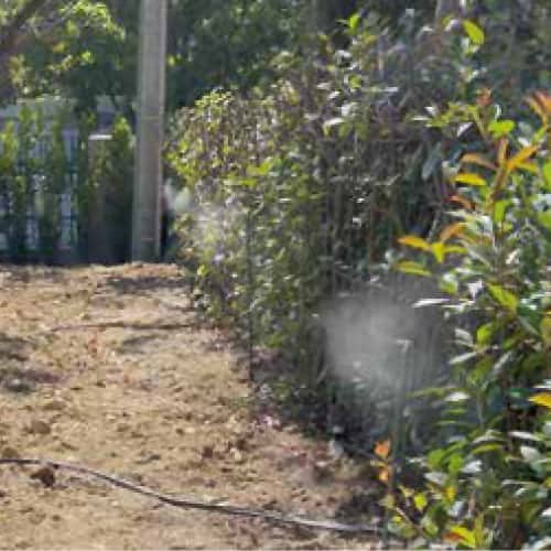 rimedi contro zanzare giardino Bologna